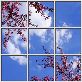 Textures   -   ARCHITECTURE   -   BUILDINGS   -   Windows   -  special windows - Special window texture 01137