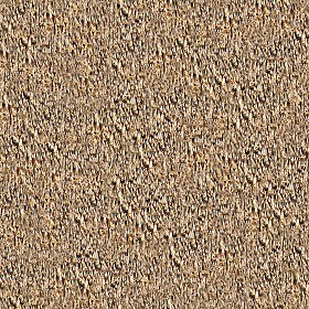 Textures   -   ARCHITECTURE   -   ROOFINGS   -  Thatched roofs - Thatched roof texture seamless 04050