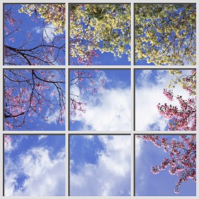 Textures   -   ARCHITECTURE   -   BUILDINGS   -   Windows   -  special windows - Special window texture 01138