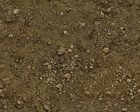 Textures   -   NATURE ELEMENTS   -   SOIL   -  Ground - Ground texture seamless 12825