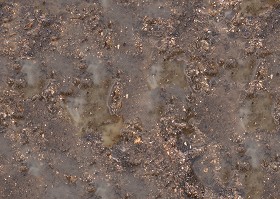Textures   -   NATURE ELEMENTS   -   SOIL   -  Mud - Mud texture seamless 12887
