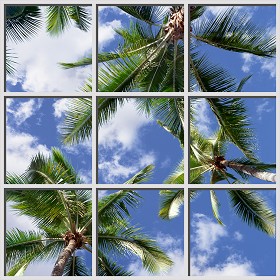 Textures   -   ARCHITECTURE   -   BUILDINGS   -   Windows   -  special windows - Special window texture 01139