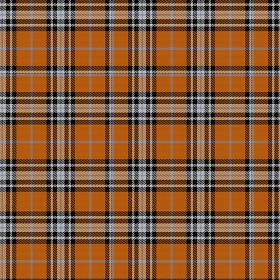 Textures   -   MATERIALS   -   FABRICS   -  Tartan - Wool flannel fabric texture seamless 16316