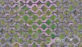 Textures   -   ARCHITECTURE   -   PAVING OUTDOOR   -  Parks Paving - Damaged bricks park paving texture seamless 18680