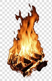 Textures   -   ARCHITECTURE   -   WOOD   -  Wood logs - Fire wood texture 17410