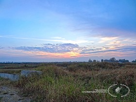 Textures   -   BACKGROUNDS &amp; LANDSCAPES   -  SUNRISES &amp; SUNSETS - Sunrise background in the countryside 17709