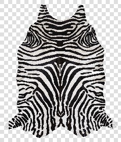 Textures   -   MATERIALS   -   RUGS   -  Cowhides rugs - Cow leather rug zebra printed texture 20028