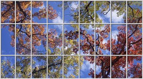 Textures   -   ARCHITECTURE   -   BUILDINGS   -   Windows   -  special windows - Special window texture 01144