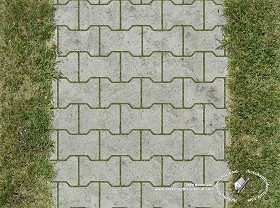 Textures   -   ARCHITECTURE   -   PAVING OUTDOOR   -  Parks Paving - Concrete block park paving texture seamless 18684