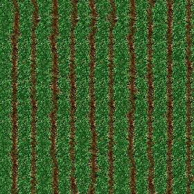 Textures   -   NATURE ELEMENTS   -   VEGETATION   -  Green grass - Green grass texture seamless 12988
