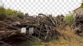 Textures   -   ARCHITECTURE   -   WOOD   -  Wood logs - Cut out wood logs texture 17429