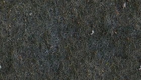 Textures   -   NATURE ELEMENTS   -   VEGETATION   -  Dry grass - Dry grass texture seamless 12936