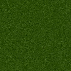 Textures   -   MATERIALS   -   CARPETING   -  Green tones - Green outdoor carpeting texture seamless 16723