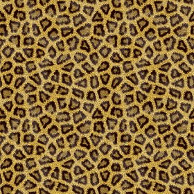 Textures   -   MATERIALS   -  FUR ANIMAL - Leopard faux fake fur animal texture seamless 09574