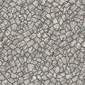 Textures   -   ARCHITECTURE   -   PAVING OUTDOOR   -  Flagstone - Granite paving flagstone texture seamless 05889