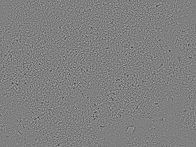 Textures   -   NATURE ELEMENTS   -   SAND  - Underwater beach sand texture seamless 12723 - Bump
