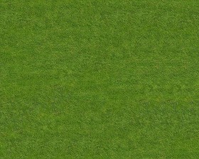 Textures   -   NATURE ELEMENTS   -   VEGETATION   -  Green grass - Green grass texture seamless 12991