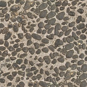 Textures   -   ARCHITECTURE   -   ROADS   -   Paving streets   -  Rounded cobble - Rounded cobblestone texture seamless 07508