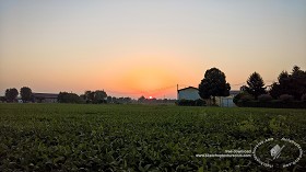 Textures   -   BACKGROUNDS &amp; LANDSCAPES   -  SUNRISES &amp; SUNSETS - Sunrise background in the countryside 17717