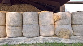 Textures   -   BACKGROUNDS &amp; LANDSCAPES   -   NATURE   -  Countrysides &amp; Hills - Countryside landscape with hay rolls 17622