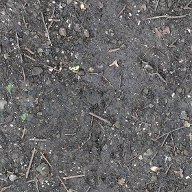 Textures   -   NATURE ELEMENTS   -   SOIL   -  Ground - Ground texture seamless 12838