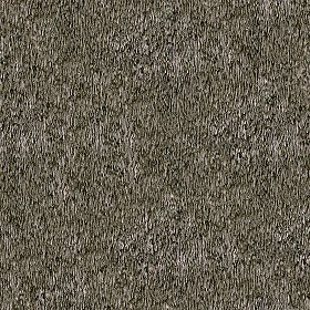 Textures   -   ARCHITECTURE   -   ROOFINGS   -  Thatched roofs - Thatched roof texture seamless 04066