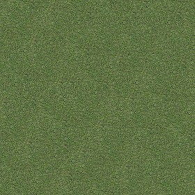 Textures   -   NATURE ELEMENTS   -   VEGETATION   -  Green grass - Green grass texture seamless 12996