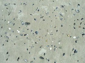 Textures   -   NATURE ELEMENTS   -  SAND - Beach sand texture seamless 12730