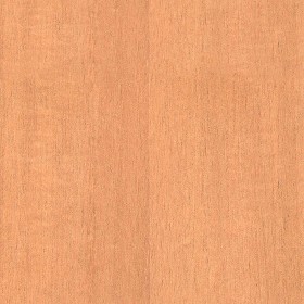 Textures   -   ARCHITECTURE   -   WOOD   -  Plywood - Plywood texture seamless 04539