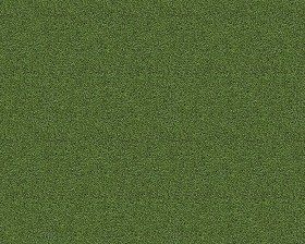 Textures   -   NATURE ELEMENTS   -   VEGETATION   -  Green grass - Green grass texture seamless 12998
