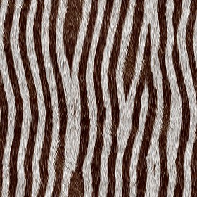 Textures   -   MATERIALS   -  FUR ANIMAL - Faux fake fur animal texture seamless 09583