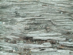 Textures   -   NATURE ELEMENTS   -  BARK - Bark texture seamless 12342