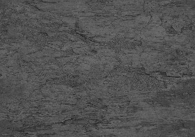 Textures   -   NATURE ELEMENTS   -   BARK  - Bark texture seamless 12344 - Bump
