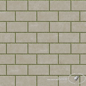 Textures   -   ARCHITECTURE   -   PAVING OUTDOOR   -  Parks Paving - Concrete park paving texture seamless 18701