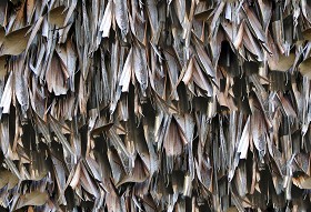 Textures   -   ARCHITECTURE   -   ROOFINGS   -  Thatched roofs - Thatched roof texture seamless 04075