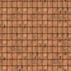 Textures   -   ARCHITECTURE   -   ROOFINGS   -  Clay roofs - Clay roofing Renaissance texture seamless 03379