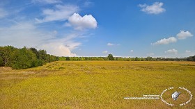 Textures   -   BACKGROUNDS &amp; LANDSCAPES   -   NATURE   -  Countrysides &amp; Hills - Wild meadow countrysides landscape texture 17961