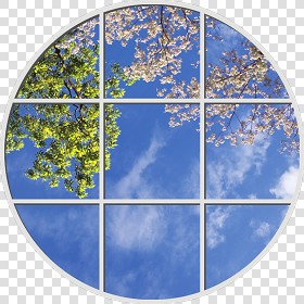 Textures   -   ARCHITECTURE   -   BUILDINGS   -   Windows   -  special windows - Special window texture 01165