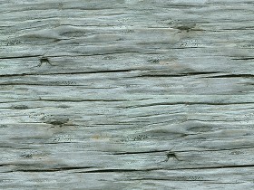 Textures   -   NATURE ELEMENTS   -  BARK - Bark texture seamless 12348