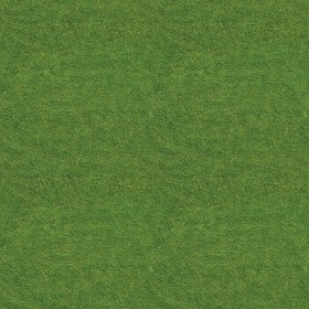 Textures   -   NATURE ELEMENTS   -   VEGETATION   -  Green grass - Green grass texture seamless 13007