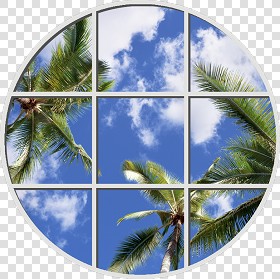Textures   -   ARCHITECTURE   -   BUILDINGS   -   Windows   -  special windows - Special window texture 01166