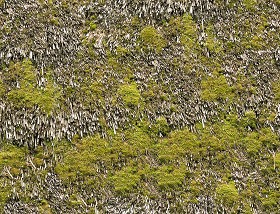 Textures   -   ARCHITECTURE   -   ROOFINGS   -  Thatched roofs - Thatched roof texture seamless 17350