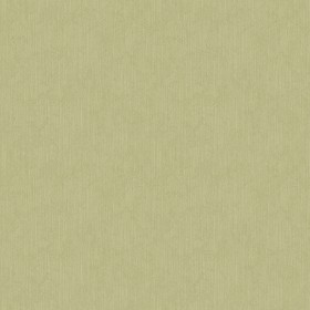 Textures   -   MATERIALS   -   WALLPAPER   -   Parato Italy   -  Elegance - The branch uni elegance wallpaper by parato texture seamless 11370