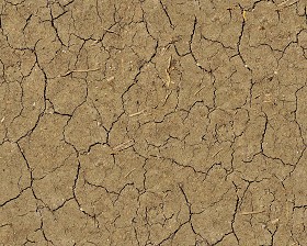 Textures   -   NATURE ELEMENTS   -   SOIL   -  Ground - Ground texture seamless 12853