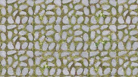 Textures   -   ARCHITECTURE   -   ROADS   -   Paving streets   -  Rounded cobble - Rounded cobblestone texture seamless 17517