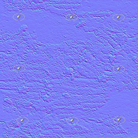 Textures   -   NATURE ELEMENTS   -   SOIL   -   Mud  - Mud with leaves texture seamless 21312 - Normal