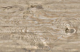 Textures   -   NATURE ELEMENTS   -  BARK - Bark texture seamless 12356