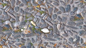 Textures   -   ARCHITECTURE   -   ROADS   -   Paving streets   -  Rounded cobble - Rounded cobblestone texture seamless 18180
