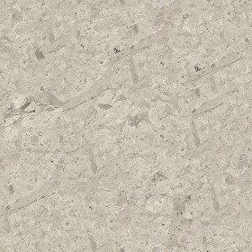 Textures   -   ARCHITECTURE   -   MARBLE SLABS   -  Grey - Slab marble thala grey texture seamless 02351