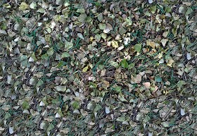 Textures   -   NATURE ELEMENTS   -   VEGETATION   -  Leaves dead - Leaves dead texture seamless 17473